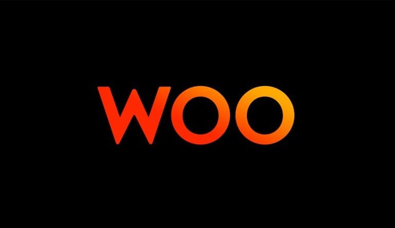 Woo Raises $7 Million and Sets Out to Become First AI-Driven Headhunter