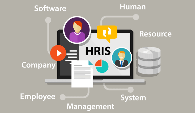 Article explaines what is HRIS