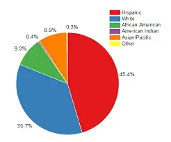 Pie Chart